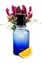 Oil Perfume for Men – Inspired by Fahrenheit– Bold Leathery Scent – 10+ Hr Long-Lasting – Spicy Woody Floral Notes – Evening Wear (100 ML)