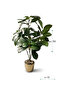 Artificial Plant in a Pot, 50cm High Interior Home Decor - 3