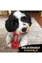Nylon Knotted Bone, T-Bone Steak Flavor - 3