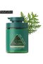 Auonam Usman Grass Side Cypress Leaf Shampoo Soap, Refreshing Hair Cleansing Wash with Oil-Control and Volumizing Care, Fresh Scalp Feel for Everyday Use, Convenient Pump Dispenser Bottle at Home Ever - 3