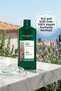 Sebum Balancing Vegan Purifying Shampoo for Oily Hair 300 ml - 3