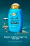 Moisturizing Argan Oil of Morocco Shampoo + Conditioner + Hair Mask - 3
