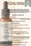 Thyme Oil - 100% Pure Anti-Hair Loss Anti-Dandruff Skin and Hair Care Oil - Thyme Oil - 10 ml - 2