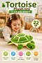 Plush Toy with Turtle Figure 22 cm Soft Filled Cute Children's Playmate Model - 3