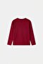 Burgundy 100% Cotton Girls' Plain/Basic Crew Neck Knitted School T-Shirt Tkdaw27Ts00002 - 5