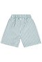 Striped 6-18 Months Shorts - Green - 3