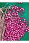 8 mm Pink Wooden Beads (175 Pieces) Hole Diameter 3mm Macrame Jewelry Bracelet Wooden Round - 3