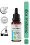 Lemon Balm Oil Lavender Oil Eucalyptus Oil 3x20 ml Value Set - 2