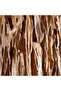 Alessio 4-Light E27 Wooden Pendant Lamp Dia 165x35x45cm - Natural - 2