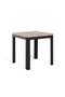 Rekker End Table - Natural Black ~ Natural - 4
