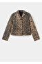 Leopard Print Button Jacket - 3
