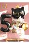 Black Cat Black Cat 5 Years Old Balloon Set Star Balloon Foil Set Black Cat Concept Birthday Set