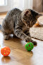 Colorful Rattle Pet Play Ball (4 Pieces) - 3