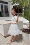 White Sparkle Fabric Crop Short Sleeve Girls' Baby Girl Dress - 5