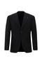 Regular Fit Pointed Collar Plain Dobby Wool Classic Suit - 2
