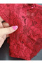 Dina Rose Lace Patterned Women's Underwear Panties with Bow on the Front - 2