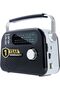 iBELL FM820BT Portable FM Radio with Bluetooth Speaker