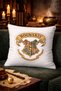 Harry Potter Game Anime Themed Throw Pillow Cover – 43X43 Decorative Pillowcase Double-Sided Printing - 4