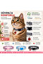 Patterned Cat Collar – Recycled Yarn, Safe Lock System, Comfortable Use, Si