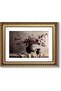 Premium Vase Still Life Canvas Wall Art Gold Frame 40x60 cm Decor