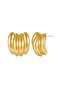 Harmony Gold Steel Women's Earrings - 6