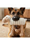 Long-Sleeved Dog Companion Puppy (Large) - 2