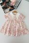 My Little One's Flowers Patterned Cotton Muslin Collared Baby Girl Dress - Pink