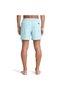 Deluxe 15 Men's Turquoise Swim Shorts Eqyjv04101-Bjk0 - 2