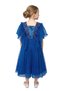 - Girls Ruffled Tulle Party Dress-Black, Blue - 1Y to 13Y - 3