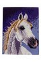 Patterned Cross Stitch Set – Handcrafted Embroidery Kit, Complete Set with Colored Threads 20X28