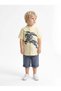 Boy's Summer 2-Piece Set (Shirt + Shorts) 6-36 Months 8018