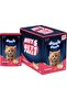 Salmon Mousse Kitten (80gm x 6)| Rich in Protein, Promotes Hydration & Easy to Digest | Packed with Essential Vitamins & Antioxidants