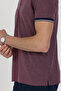 Polo Collar Cotton Pique T-Shirt - 3