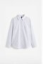 Ecru-Blue-Covered Button Shirt