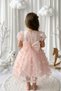 Salmon 3D Butterfly Figured Balloon Short Sleeve Girls' Baby Girl Dress - 2