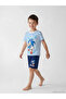 Esvab • Modern & Distinctive Blue Quick Hedgehog Boys' Shorts Pajama Set - 2