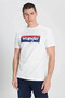 Big Logo Ecru Men's T-Shirt W2610069102