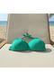 Women's Beachwear Halter Neck Green Color Bikini Top Bb2545 - 2