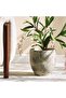 Jacel Cement Planter 22.5x22.5x22.5cm -dark Brown