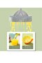Electric Citrus Juicer with Powerful Motor and USB Charging, for Orange, Apple, Grapefruit, Pear - 6