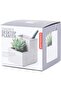 Concrete Desktop Planter, Small (PL02-S) - 5