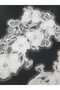 White Floral Detailed Embroidery Guipure Applique Decorative Strip - 4