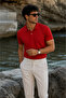 Men's 100% Cotton Standard Fit Polo Collar Basic T-Shirt - 2