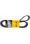 Curea Poly-V Continental 8PK1310 EXTRA - 3