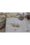 Steel Earrings with Colored Stones / White - 4