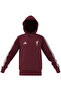 Children's Sweatshirt Lfc Kids Hd Kg2499 - 7