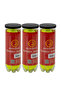 9-Piece Tennis Ball Set Durable High Bounce Balls