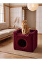 Paris Kedi Evi - 3