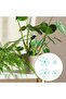 12 plant stem supports, 4 sizes, flower stem hooks, pergola, indoor climbing frame, suitable for various plants (green) - 4