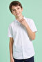 Solid Shirt with Classic Collar and Short Sleeves
